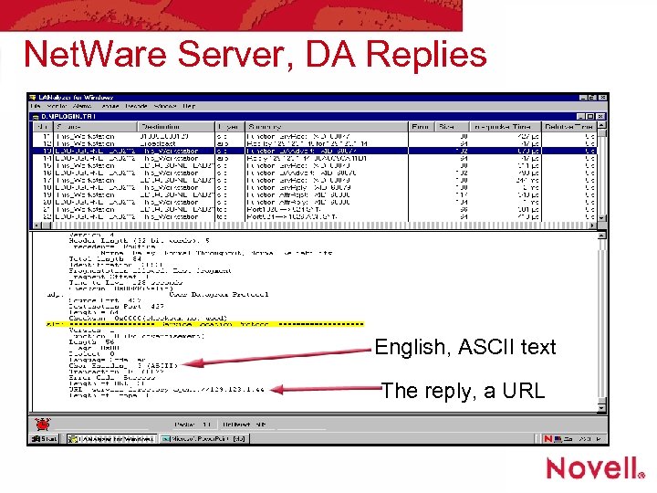 Net. Ware Server, DA Replies English, ASCII text The reply, a URL 