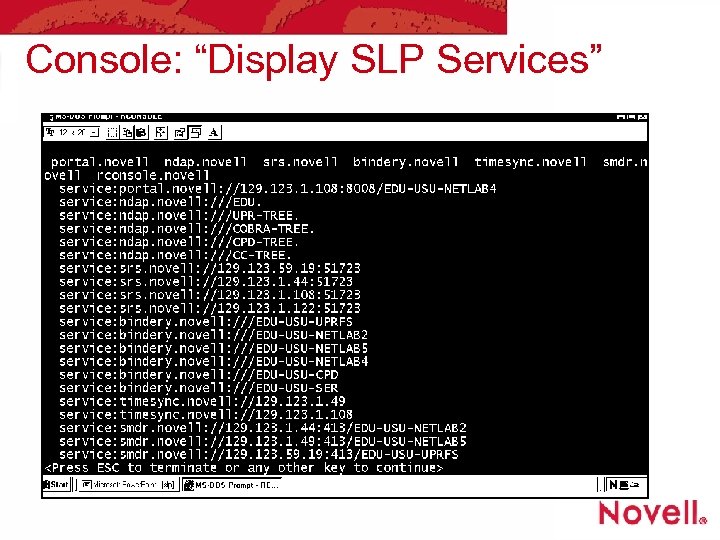 Console: “Display SLP Services” 