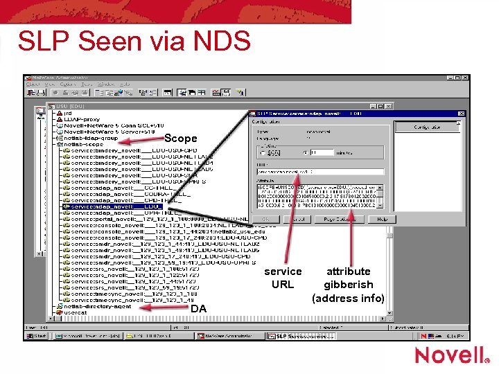 SLP Seen via NDS Scope service URL DA attribute gibberish (address info) 
