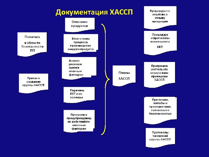 Документация ХАССП 