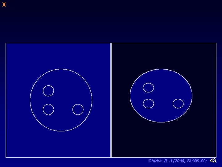 X Clarke, R. J (2000) SL 909 -00: 43 