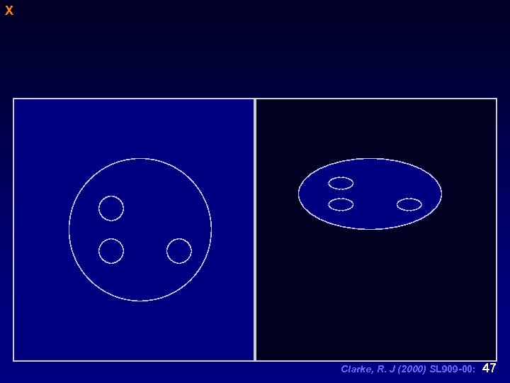 X Clarke, R. J (2000) SL 909 -00: 47 