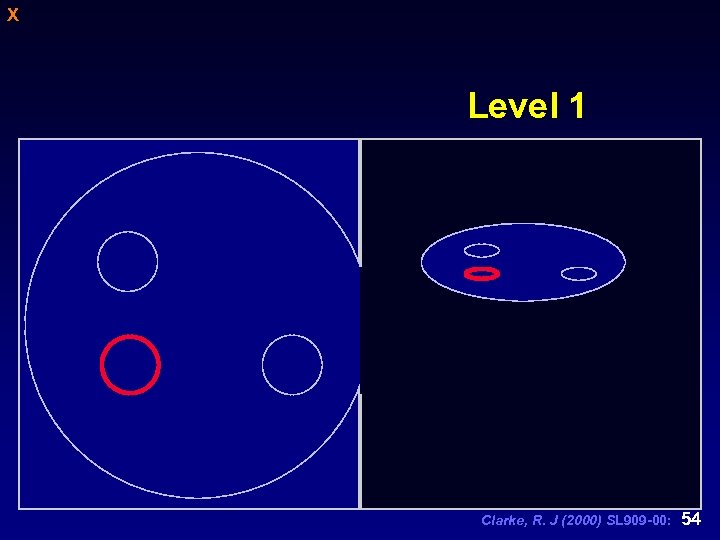 X Level 1 Clarke, R. J (2000) SL 909 -00: 54 