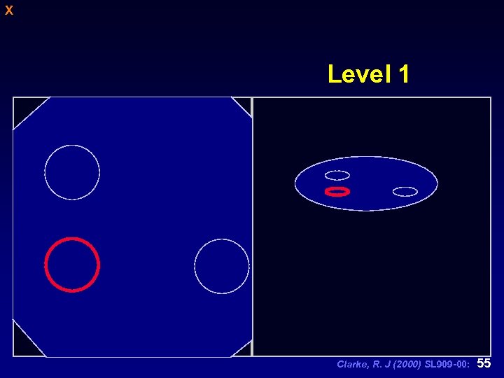 X Level 1 Clarke, R. J (2000) SL 909 -00: 55 
