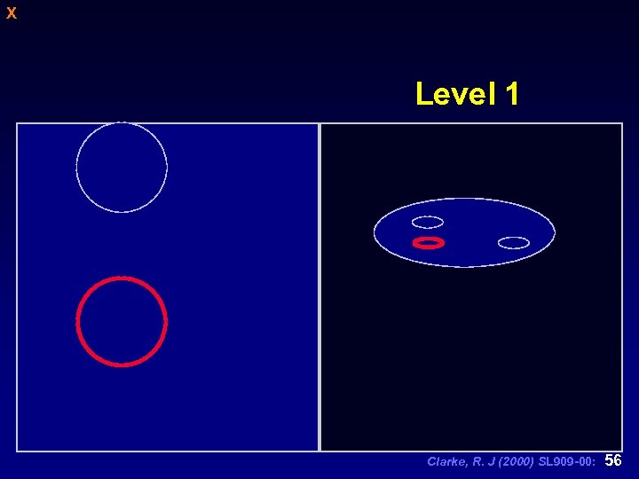 X Level 1 Clarke, R. J (2000) SL 909 -00: 56 