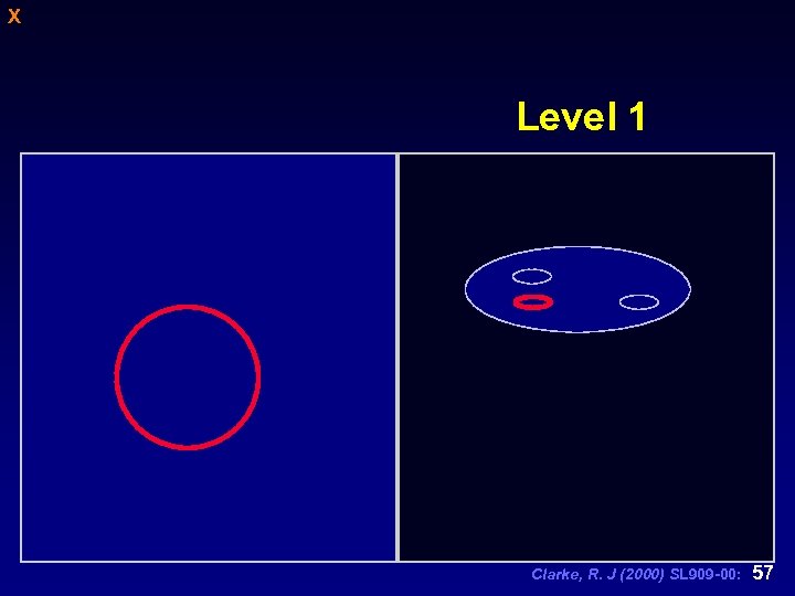 X Level 1 Clarke, R. J (2000) SL 909 -00: 57 