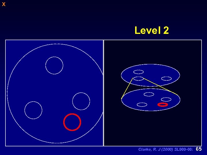 X Level 2 Clarke, R. J (2000) SL 909 -00: 65 