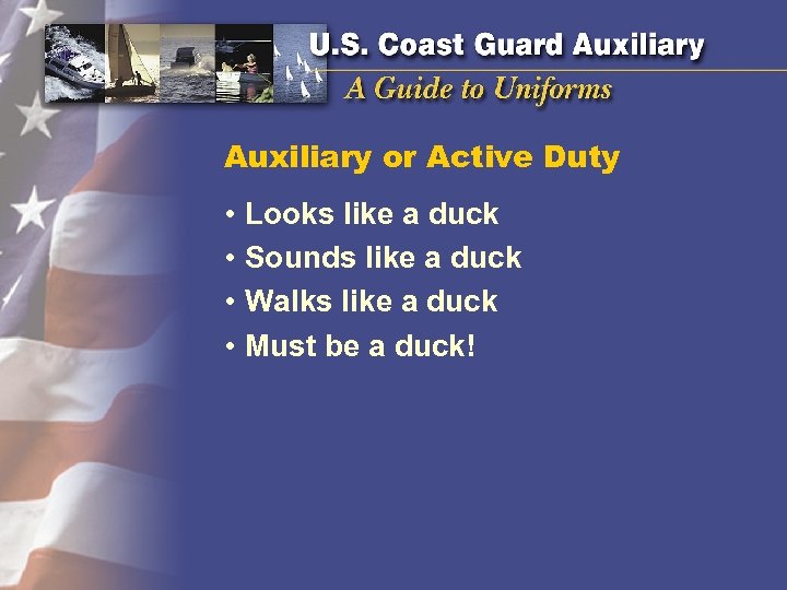 Auxiliary or Active Duty • • Looks like a duck Sounds like a duck