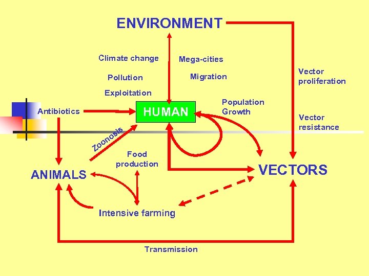 ENVIRONMENT Climate change Mega-cities Vector proliferation Migration Pollution Exploitation HUMAN Antibiotics s n o