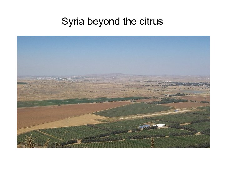 Syria beyond the citrus 