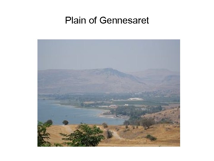 Plain of Gennesaret 