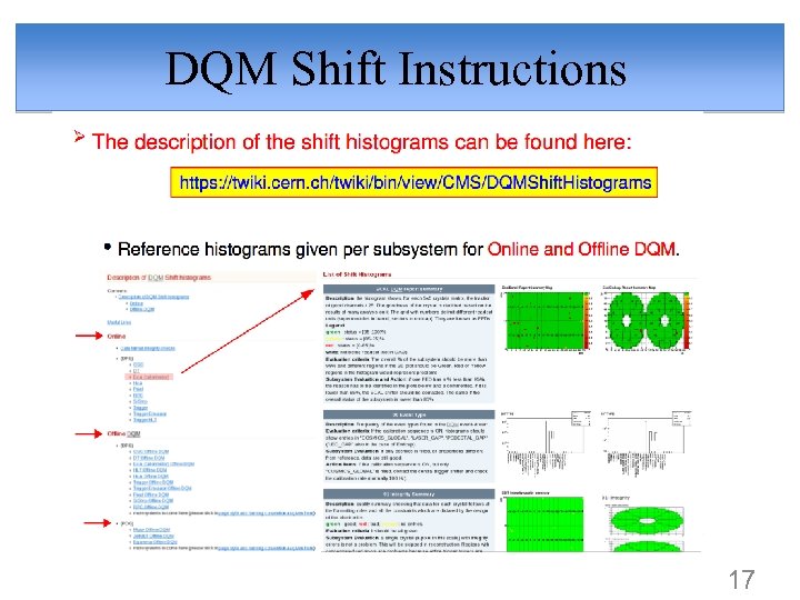 DQM Shift Instructions 17 