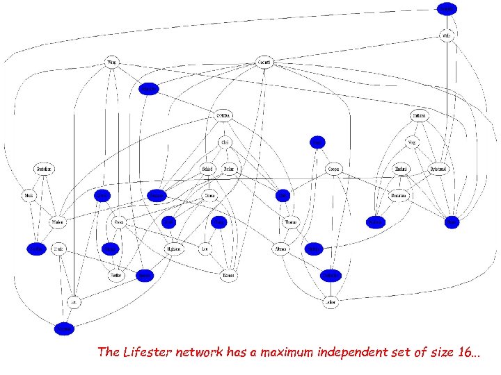 The Lifester network has a maximum independent set of size 16. . . 