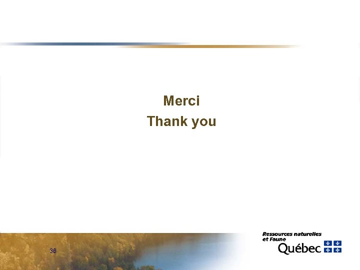 Merci Thank you 36 