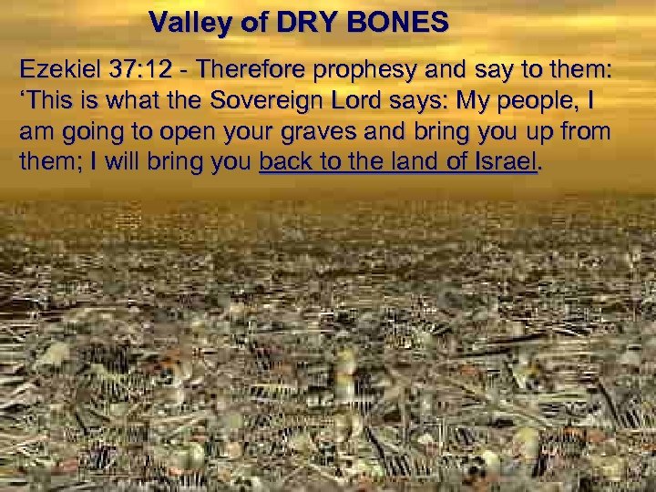Valley of DRY BONES Ezekiel 37: 12 - Therefore prophesy and say to them:
