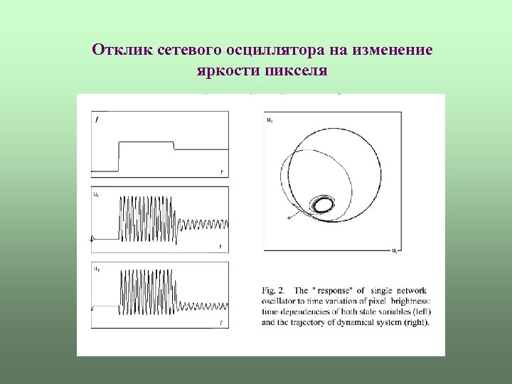 Отклик сетевого осциллятора на изменение яркости пикселя 