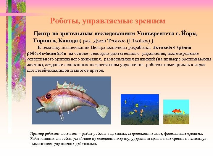 Роботы, управляемые зрением Центр по зрительным исследованиям Университета г. Йорк, Торонто, Канада ( рук.