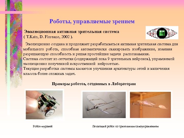 Роботы, управляемые зрением Эволюционная активная зрительная система ( T. Kato, D. Floreano, 2002 ).