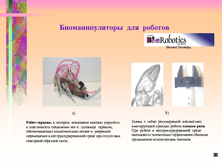 Биоманипуляторы для роботов Harward University a) Робот-таракан, в котором воплощена высокая упругость и пластичность