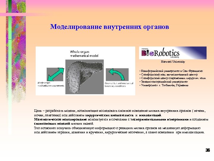 Моделирование внутренних органов Harward University • Калифорнийский университет в Сан-Франциско • Станфордский нац. вычислительный