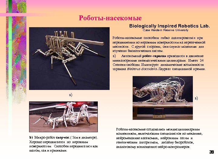 Роботы-насекомые Biologically Inspired Robotics Lab. Case Western Reserve University Роботы-насекомые способны гибко адаптироваться при