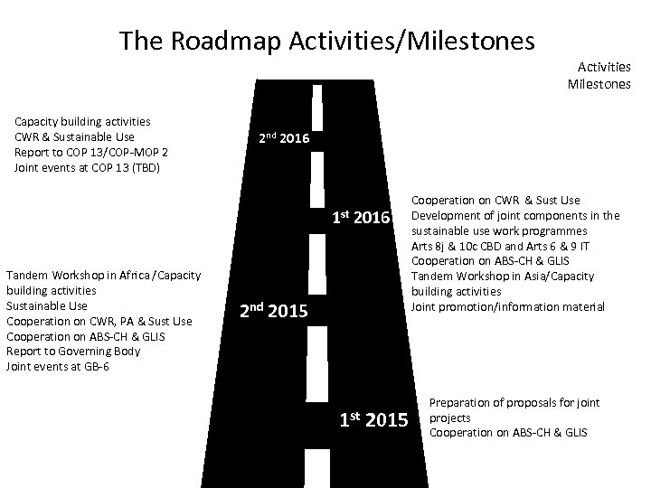 The Roadmap Activities/Milestones Capacity building activities CWR & Sustainable Use Report to COP 13/COP-MOP