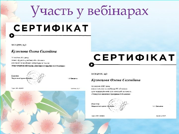 Участь у вебінарах 