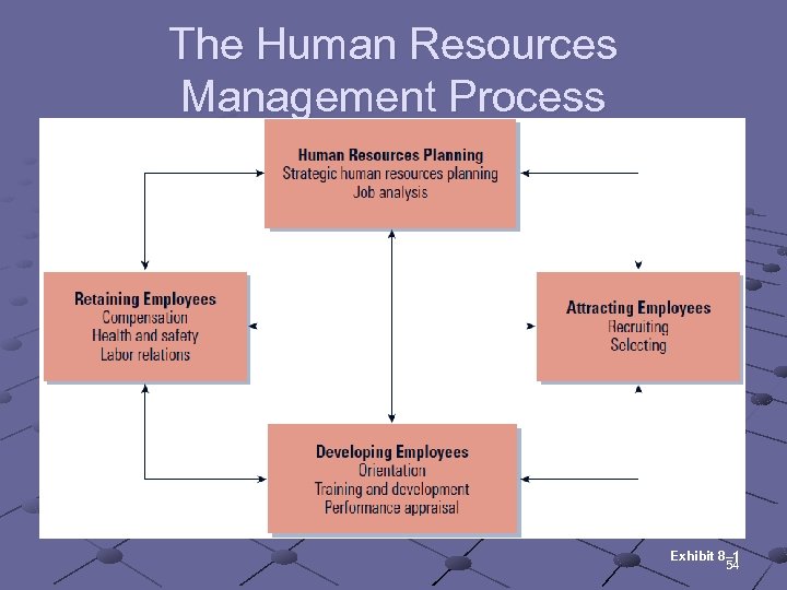 The Human Resources Management Process Exhibit 8– 1 54 