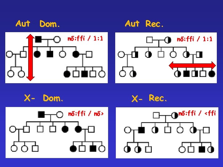 Aut Rec. Dom. nő: ffi / 1: 1 X- Dom. nő: ffi / 1: