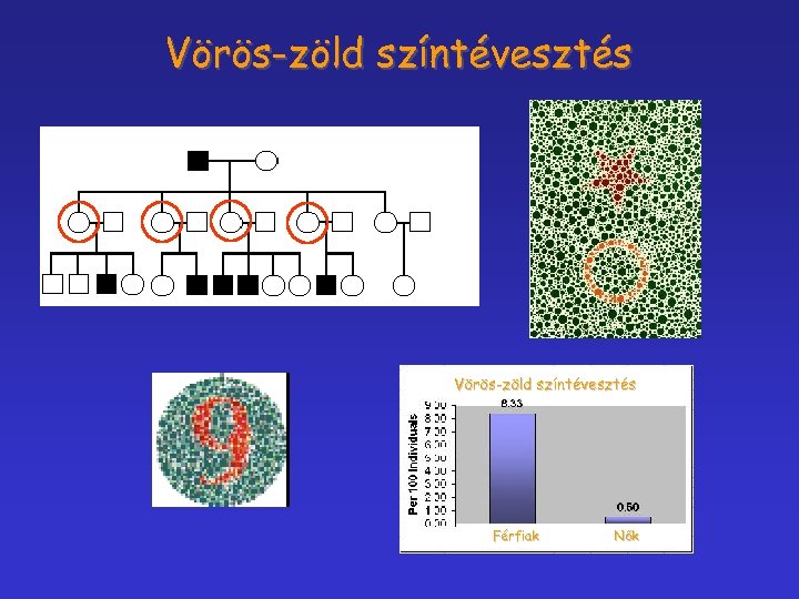 Vörös-zöld színtévesztés Férfiak Nők 