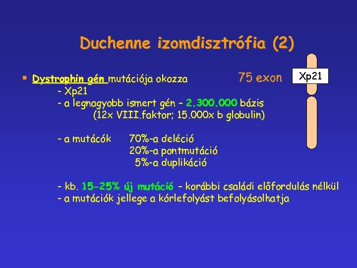 Duchenne izomdisztrófia (2) § Dystrophin gén mutációja okozza 75 exon Xp 21 - a