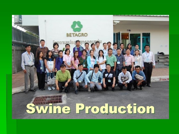 Swine Production 