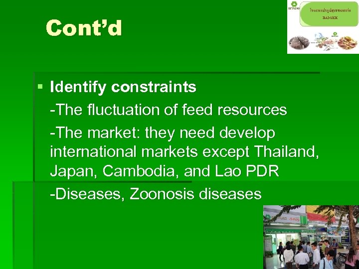 Cont’d § Identify constraints -The fluctuation of feed resources -The market: they need develop