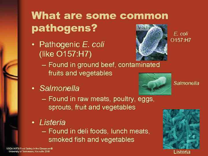 What are some common pathogens? • Pathogenic E. coli (like O 157: H 7)