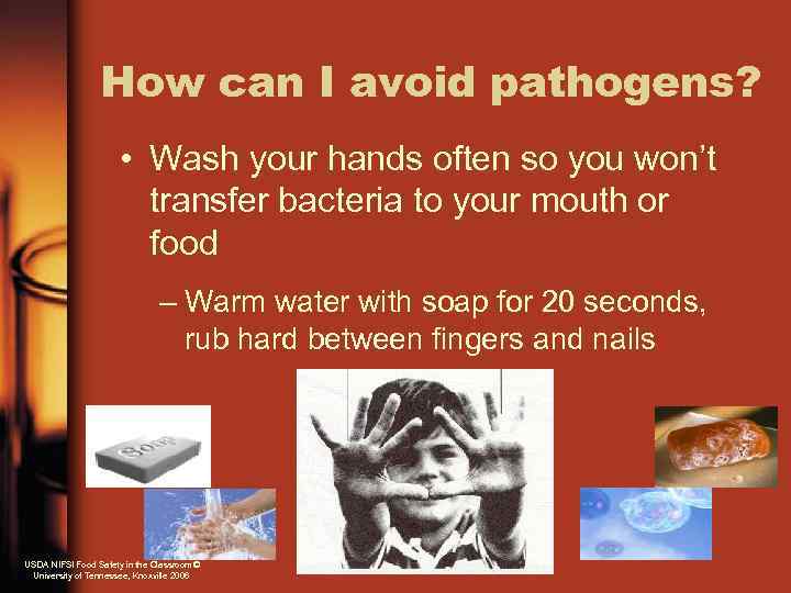 How can I avoid pathogens? • Wash your hands often so you won’t transfer