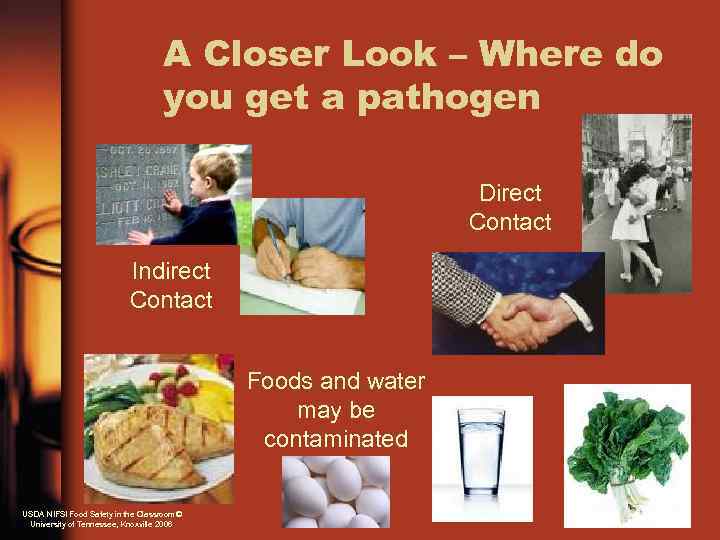 A Closer Look – Where do you get a pathogen Direct Contact Indirect Contact
