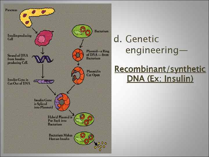 d. Genetic engineering— Recombinant/synthetic DNA (Ex: Insulin) 