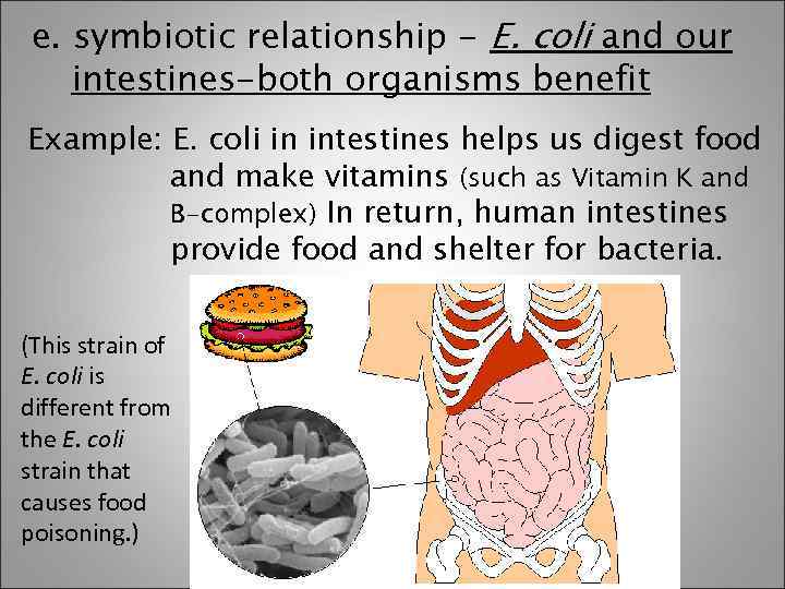 e. symbiotic relationship - E. coli and our intestines-both organisms benefit Example: E. coli