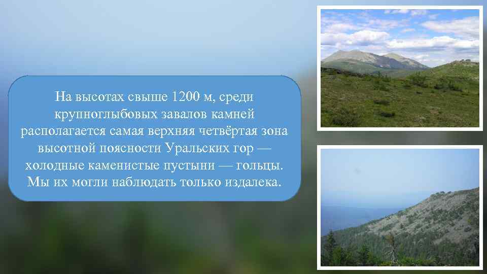 На высотах свыше 1200 м, среди крупноглыбовых завалов камней располагается самая верхняя четвёртая зона