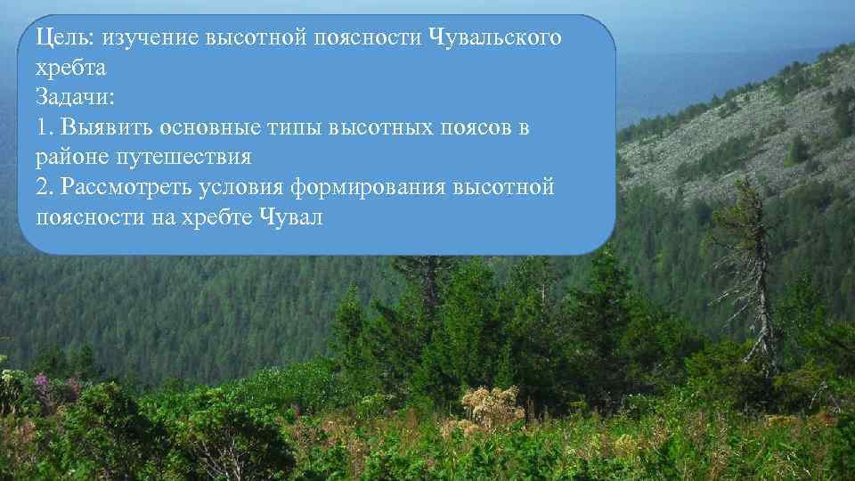 Цель: изучение высотной поясности Чувальского хребта Задачи: 1. Выявить основные типы высотных поясов в