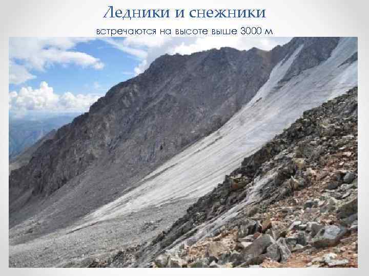 Ледники и снежники встречаются на высоте выше 3000 м 