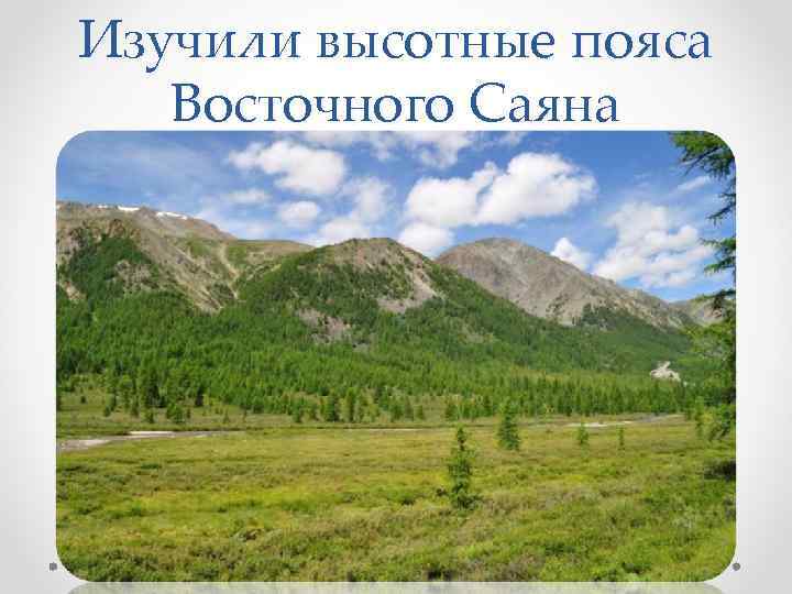 Изучили высотные пояса Восточного Саяна 