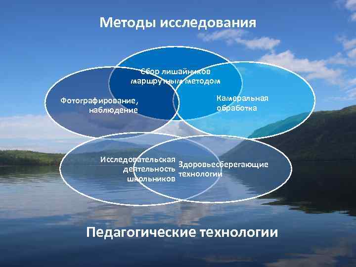 Методы исследования Сбор лишайников маршрутным методом Фотографирование, наблюдение Камеральная обработка Исследовательская Здоровьесберегающие деятельность технологии