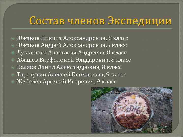 Состав членов Экспедиции Южаков Никита Александрович, 8 класс Южаков Андрей Александрович, 5 класс Лукьянова