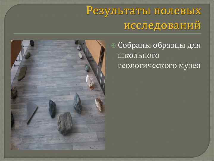 Результаты полевых исследований Собраны образцы для школьного геологического музея 