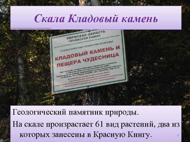 Скала Кладовый камень Геологический памятник природы. На скале произрастает 61 вид растений, два из