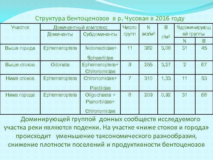 Структура бентоценозов в р. Чусовая в 2016 году Участок Выше города Доминантный комплекс Доминанты