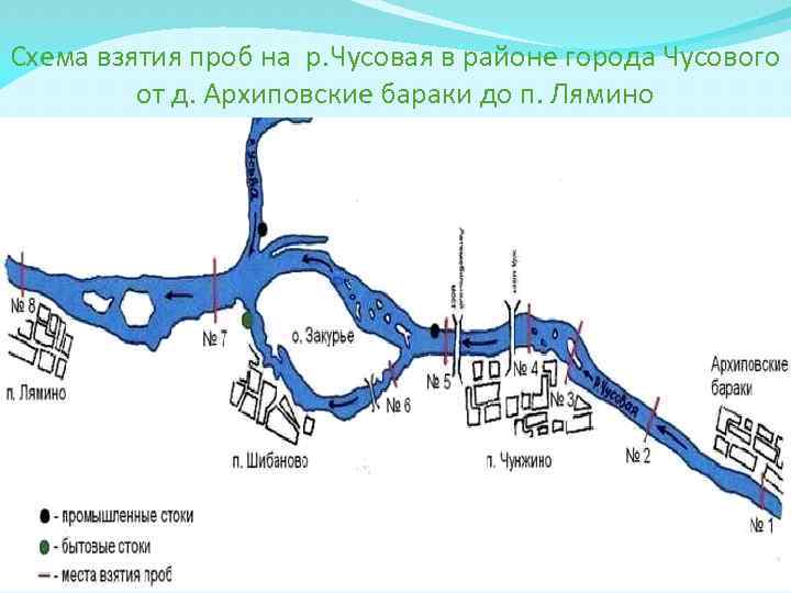 Схема взятия проб на р. Чусовая в районе города Чусового от д. Архиповские бараки