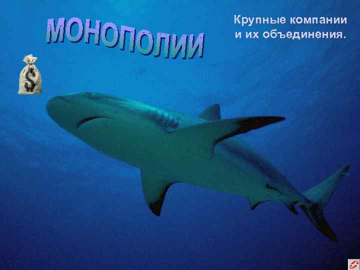 Крупные компании и их объединения. 