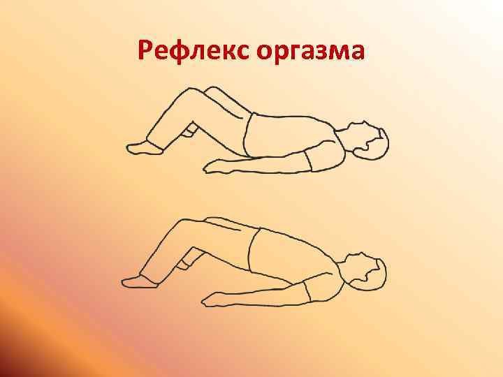 Рефлекс оргазма 